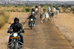 Indian Rides - Offbeat Travel