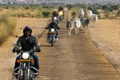 Indian-Rides-Voyage-moto-